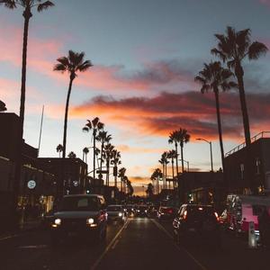 人与猪交配视频
