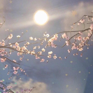 人与猪交配视频
